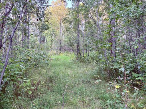 8538 County Road 8 NW, Roosevelt, MN 56673