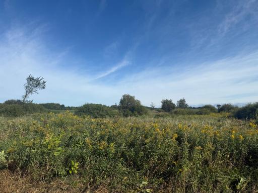 NAA 130th Ave, Ogilvie, MN 56358
