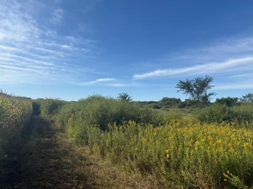 NAA 130th Ave, Ogilvie, MN 56358