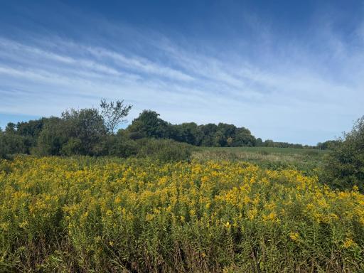 NAA 130th Ave, Ogilvie, MN 56358