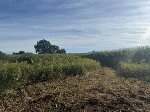 NAA 130th Ave, Ogilvie, MN 56358
