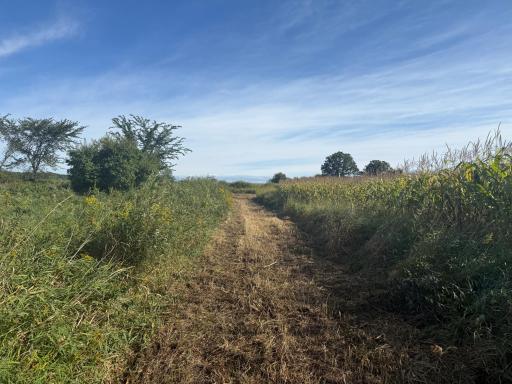 NAA 130th Ave, Ogilvie, MN 56358