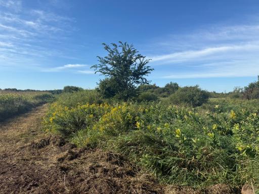 NAA 130th Ave, Ogilvie, MN 56358