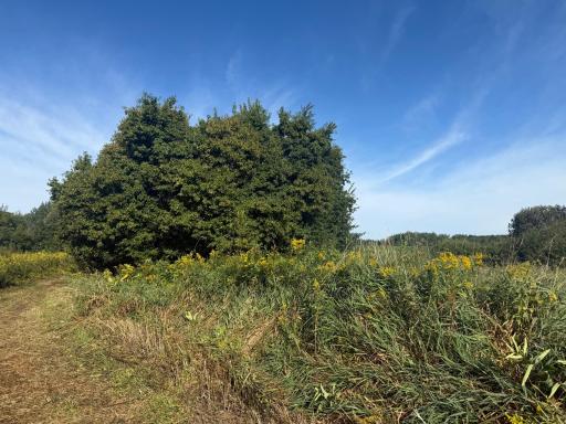 NAA 130th Ave, Ogilvie, MN 56358