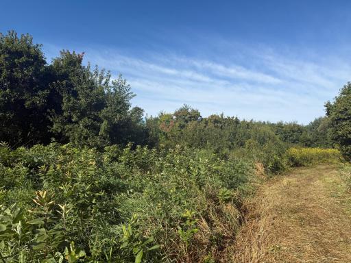 NAA 130th Ave, Ogilvie, MN 56358