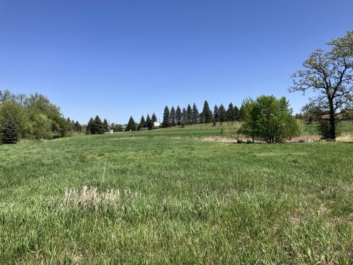 Fergus Falls, MN 56537