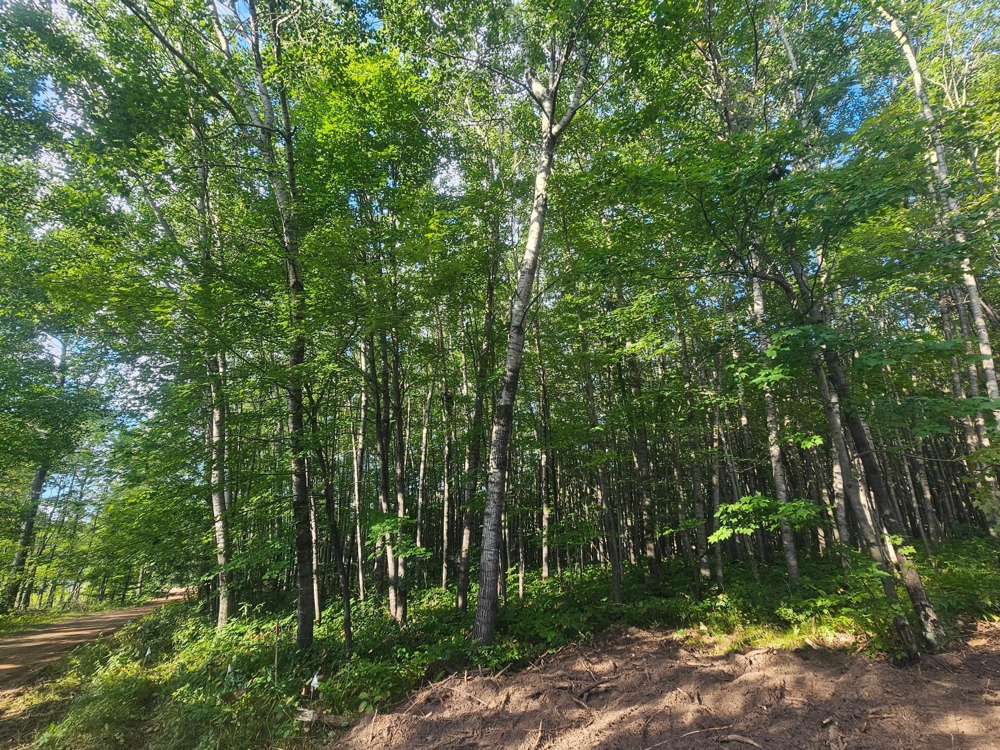 Property photo for Lot 1 Ken Can Lane, Webster, WI 54893