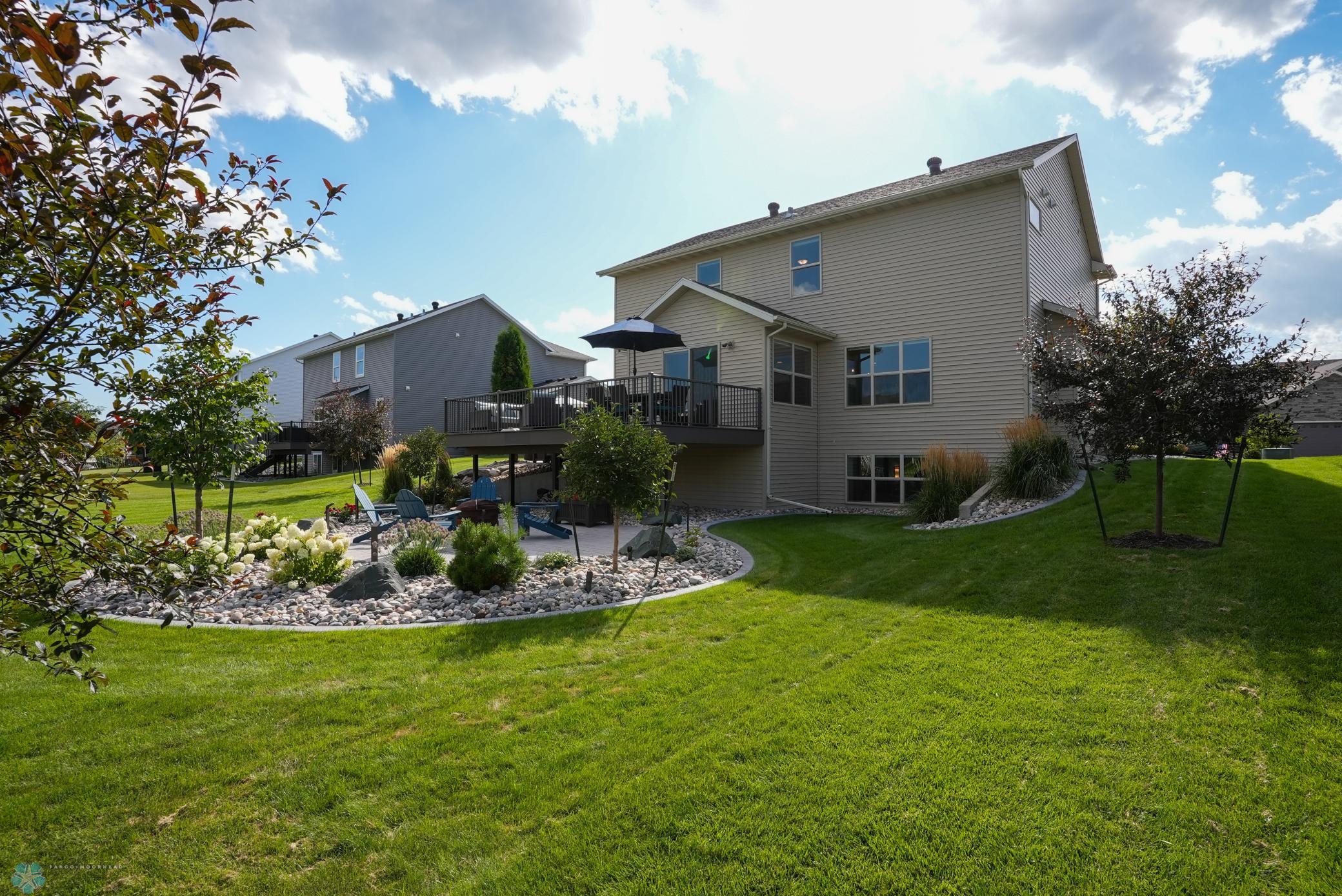 Back Yard 1