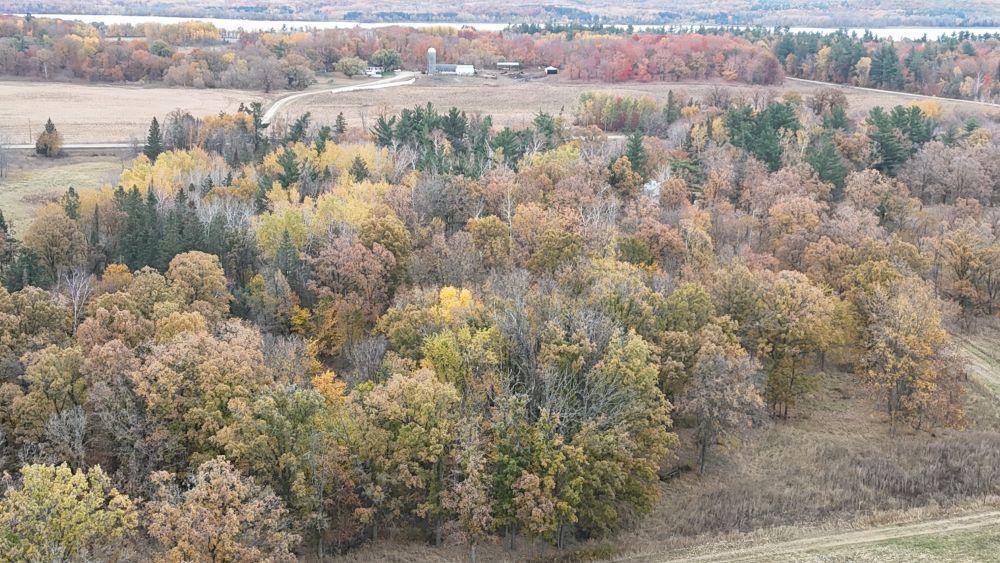 dji_fly_20241012_113046_0080_1728872095352_photo.jpg