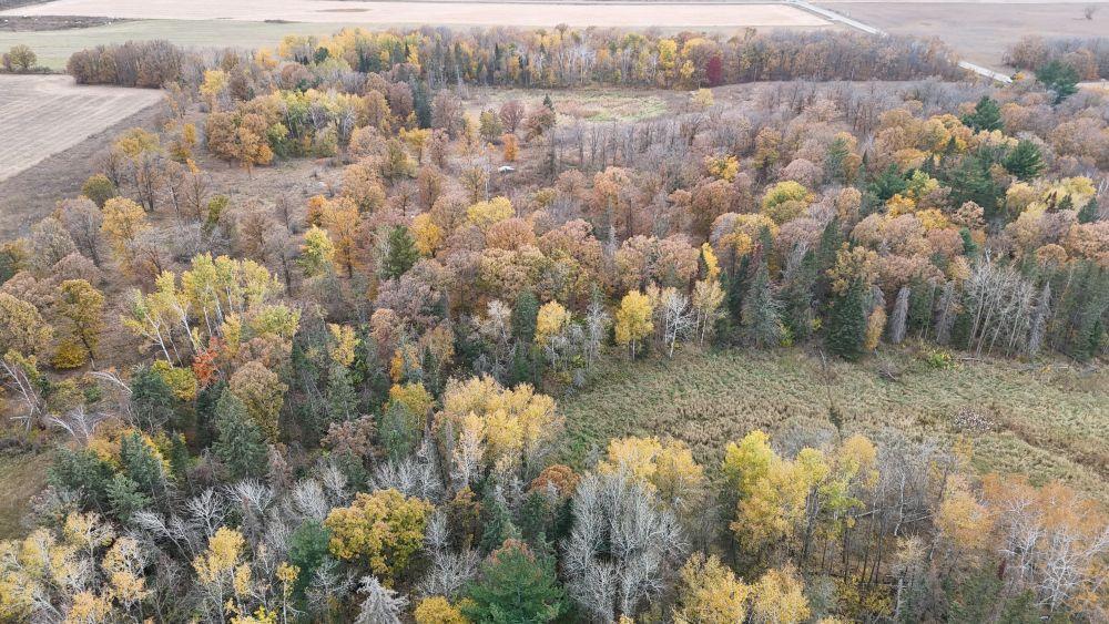 dji_fly_20241012_113250_0088_1728872085598_photo.jpg