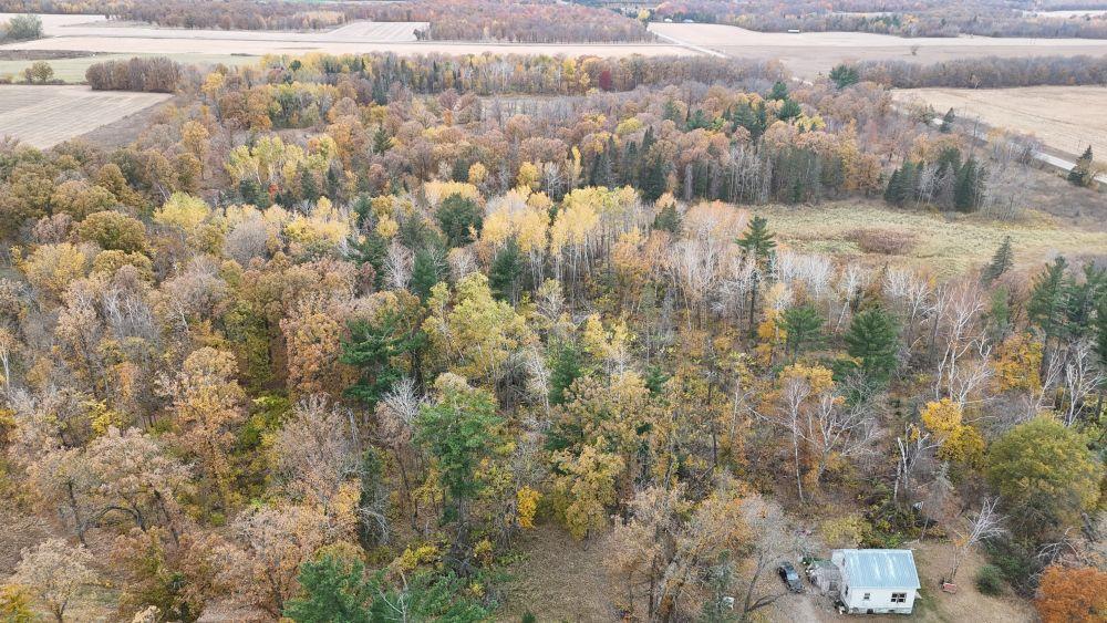 dji_fly_20241012_113404_0092_1728872079954_photo.jpg