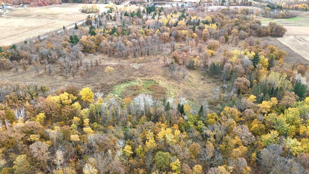 dji_fly_20241012_115124_0108_1728872058492_photo.jpg
