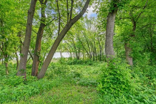 3022 County Road 24, Medina, MN 55356
