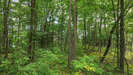 W9346 Woodlawn Drive, Holcombe, WI 54745