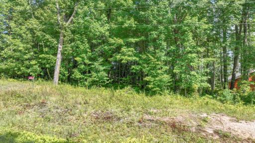 W9346 Woodlawn Drive, Holcombe, WI 54745