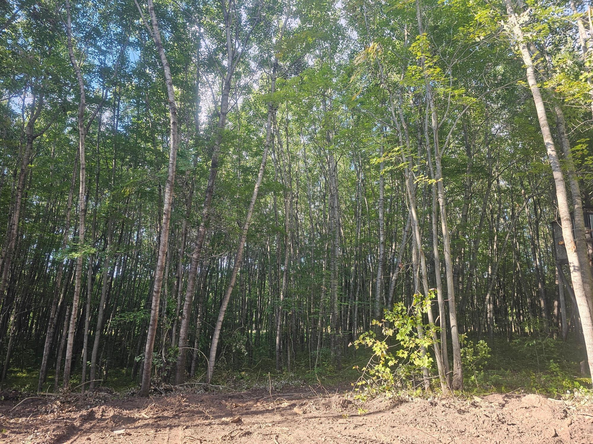 Property photo for Lot 2 Ken Can Lane, Webster, WI 54893