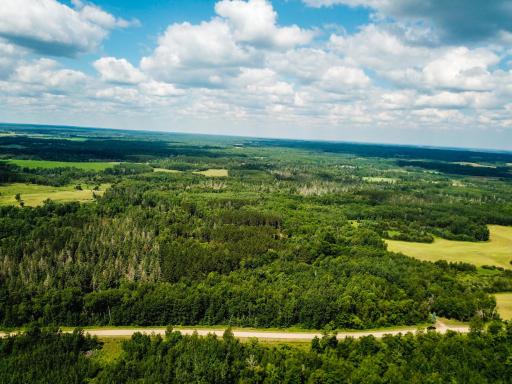 40699 Jack Pine Road, Bagley, MN 56621