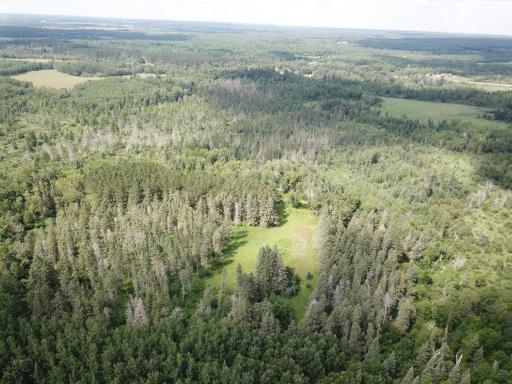 40699 Jack Pine Road, Bagley, MN 56621