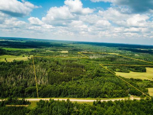 40699 Jack Pine Road, Bagley, MN 56621