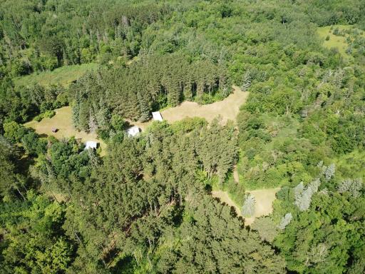 40699 Jack Pine Road, Bagley, MN 56621
