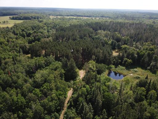 40699 Jack Pine Road, Bagley, MN 56621