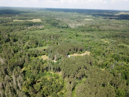 40699 Jack Pine Road, Bagley, MN 56621