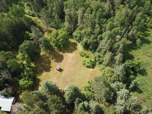 40699 Jack Pine Road, Bagley, MN 56621