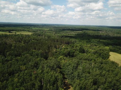40699 Jack Pine Road, Bagley, MN 56621