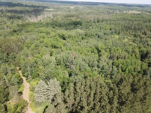 40699 Jack Pine Road, Bagley, MN 56621