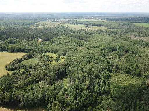 40699 Jack Pine Road, Bagley, MN 56621