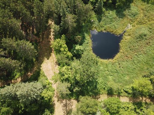 40699 Jack Pine Road, Bagley, MN 56621