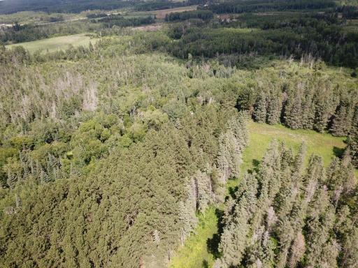 40699 Jack Pine Road, Bagley, MN 56621