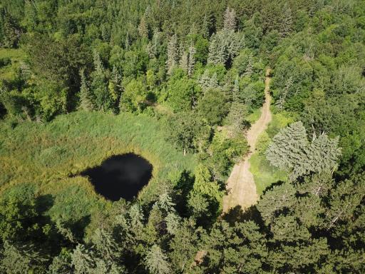 40699 Jack Pine Road, Bagley, MN 56621