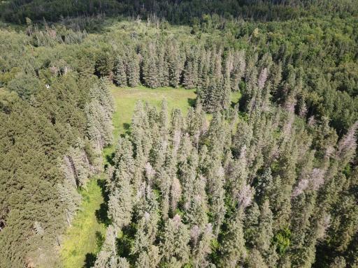 40699 Jack Pine Road, Bagley, MN 56621