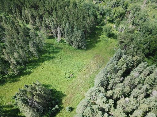 40699 Jack Pine Road, Bagley, MN 56621