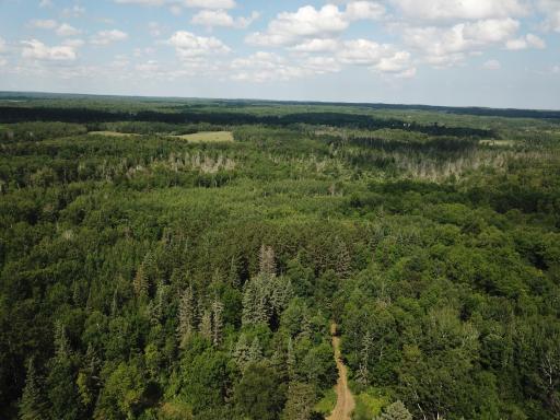 40699 Jack Pine Road, Bagley, MN 56621