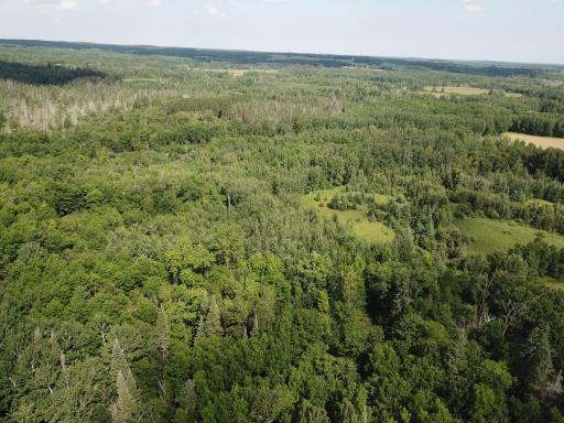 40699 Jack Pine Road, Bagley, MN 56621