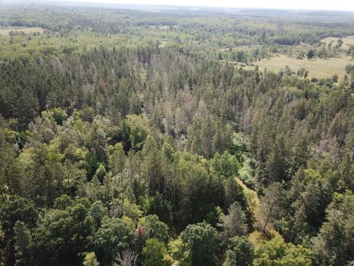 40699 Jack Pine Road, Bagley, MN 56621