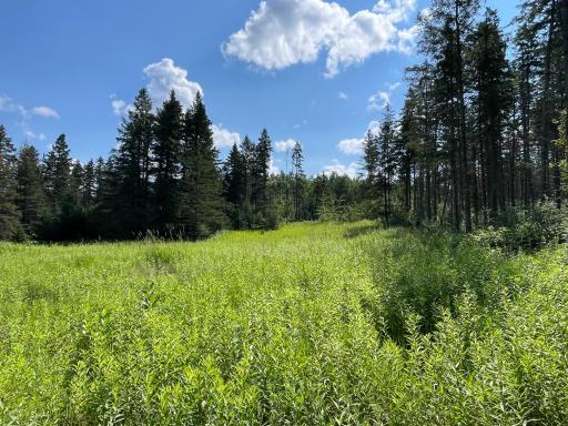 40699 Jack Pine Road, Bagley, MN 56621