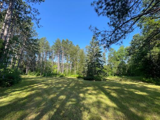 40699 Jack Pine Road, Bagley, MN 56621