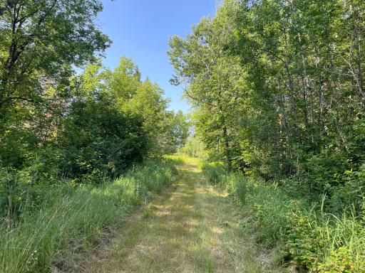 40699 Jack Pine Road, Bagley, MN 56621