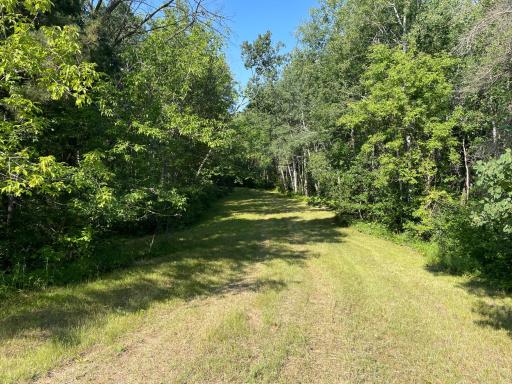 40699 Jack Pine Road, Bagley, MN 56621