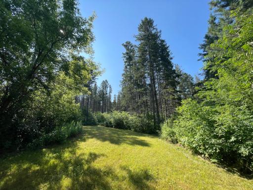 40699 Jack Pine Road, Bagley, MN 56621