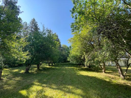 40699 Jack Pine Road, Bagley, MN 56621