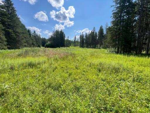 40699 Jack Pine Road, Bagley, MN 56621