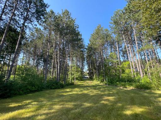 40699 Jack Pine Road, Bagley, MN 56621
