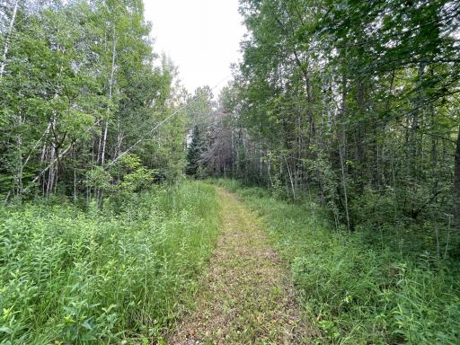 40699 Jack Pine Road, Bagley, MN 56621
