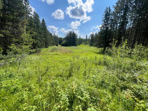 40699 Jack Pine Road, Bagley, MN 56621