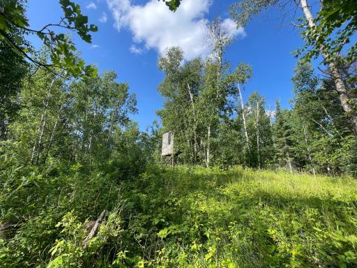 40699 Jack Pine Road, Bagley, MN 56621