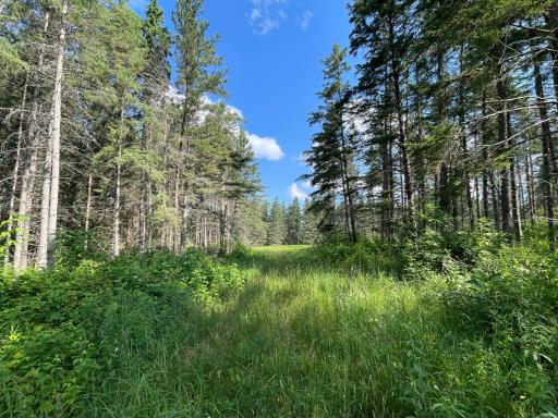 40699 Jack Pine Road, Bagley, MN 56621